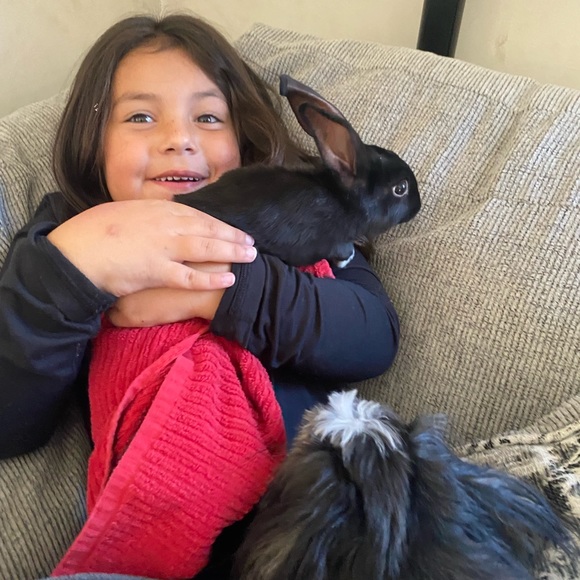 Meet your Posher’s, Charitie & Kevin - Picture 3 of 9